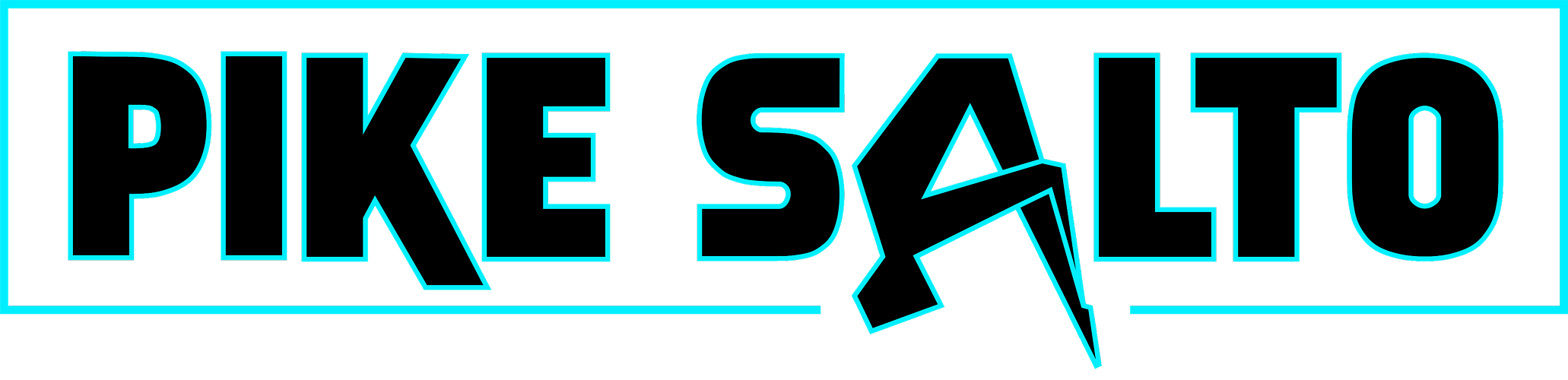 campany logo